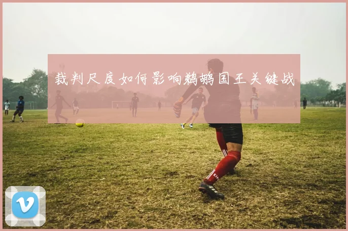 裁判尺度如何影响鹈鹕国王关键战