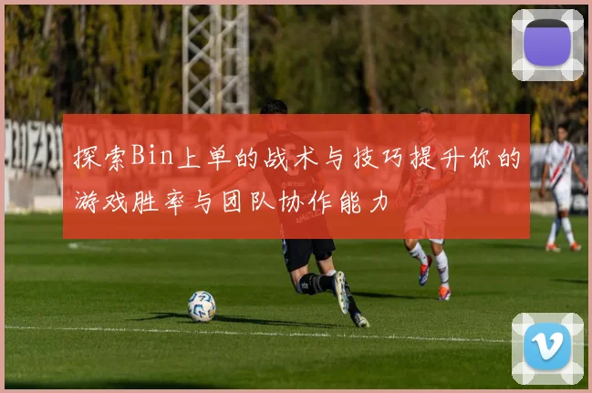 探索Bin上单的战术与技巧提升你的游戏胜率与团队协作能力