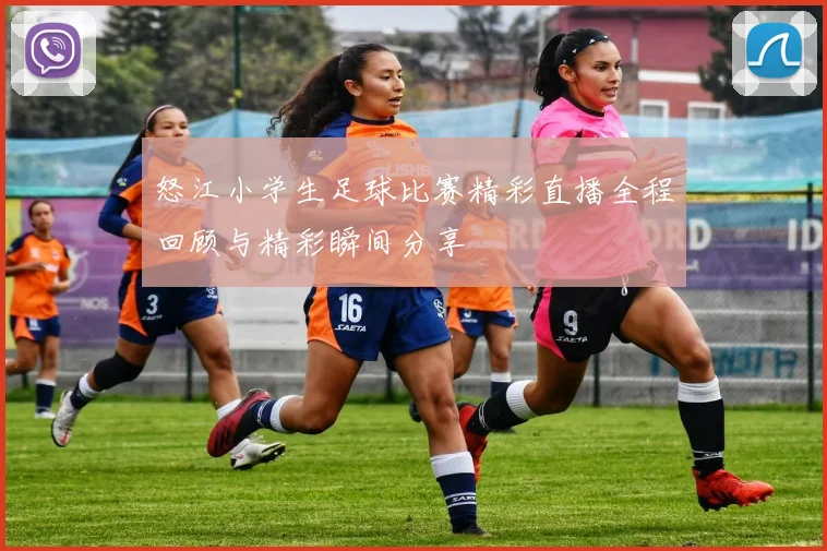 怒江小学生足球比赛精彩直播全程回顾与精彩瞬间分享