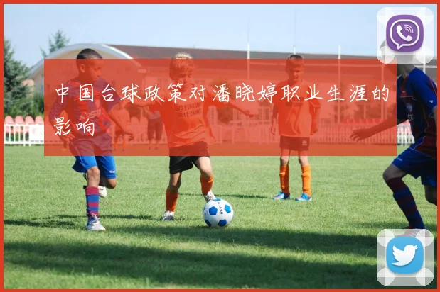 中国台球政策对潘晓婷职业生涯的影响